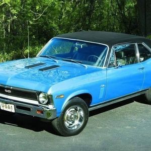 Meet your Posher, Shelby